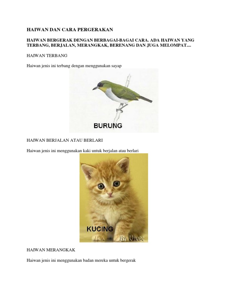 Haiwan Dan Cara Pergerakan Pdf
