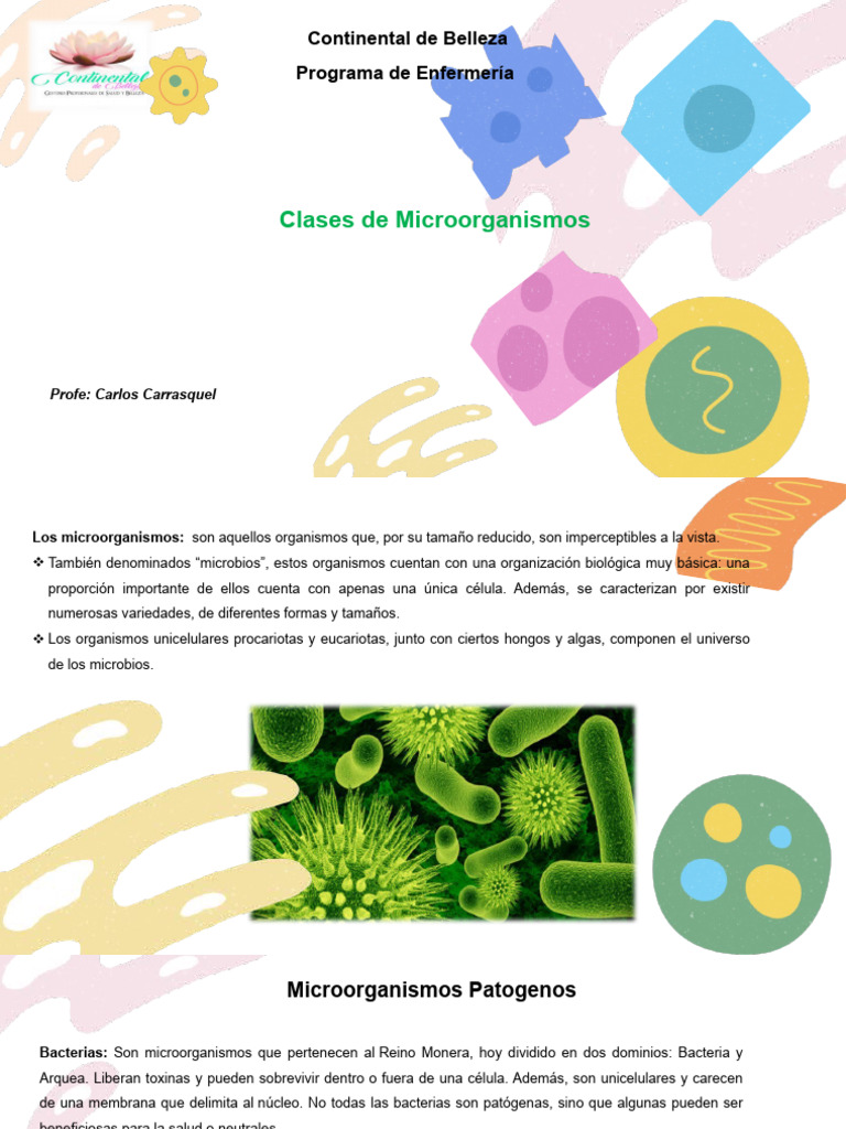 Microbiologia | PDF | Las bacterias | Infección