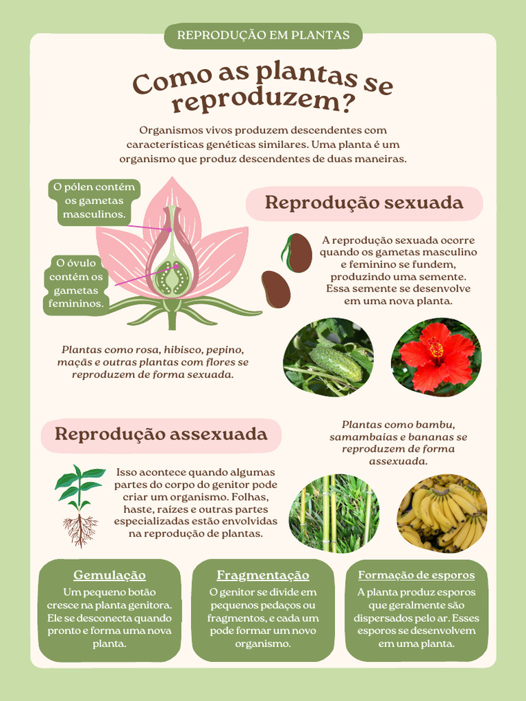 Reprodução de Plantas: Assexuada e Sexuada | PDF