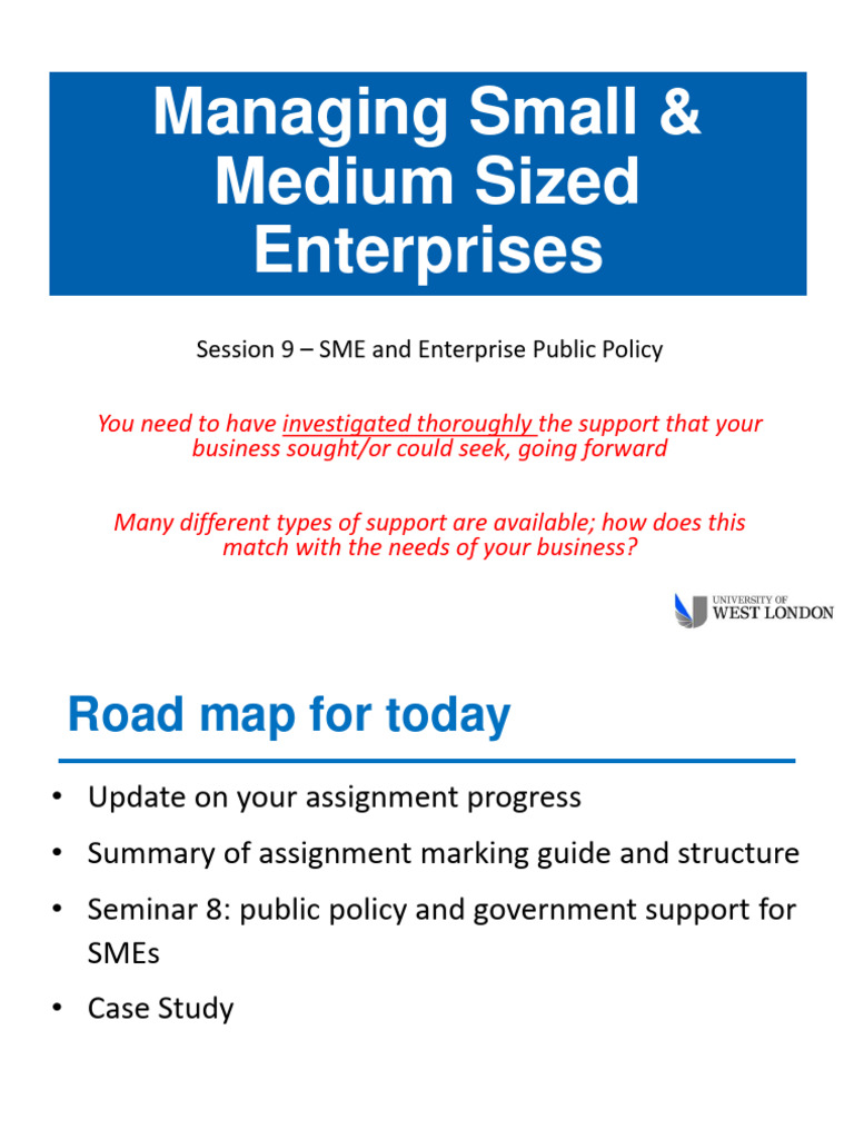 SME Public Policy and Support Strategies | PDF | Entrepreneurship ...