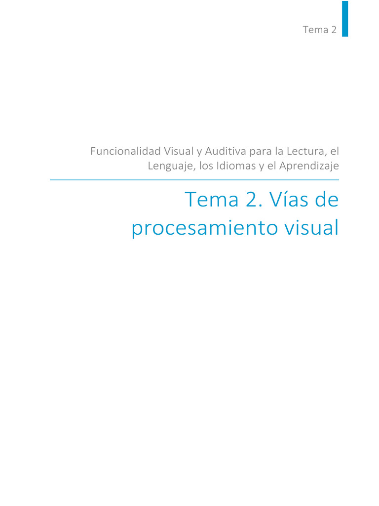 Procesamiento Visual en el Aprendizaje | PDF | Sistema visual ...