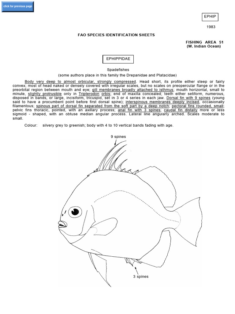 Fao Species Identification Sheets Fishing Area 51 (W. Indian Ocean ...