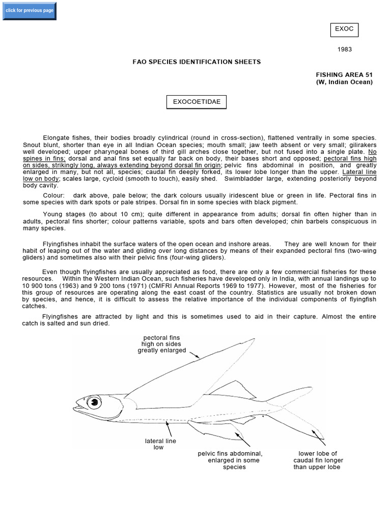 Fao Species Identification Sheets Fishing Area 51 (W, Indian Ocean ...