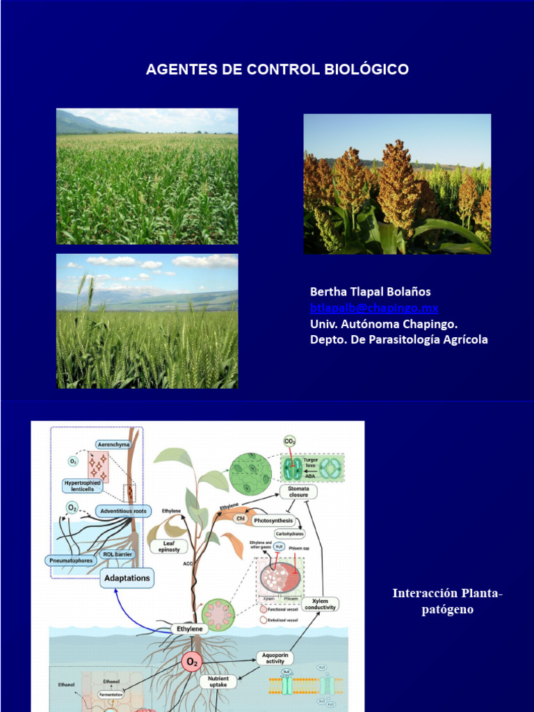 2.3.1 Agentes de Control Biologico 2023 | Descargar gratis PDF ...