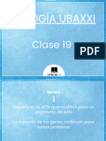 Clase 19