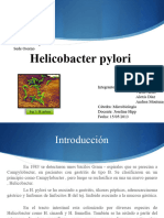 H. Pylori