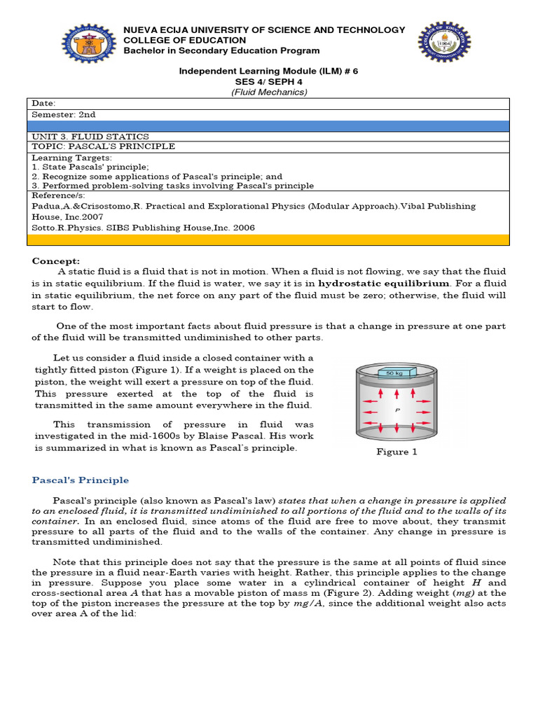 Understanding Pascal's Principle | PDF | Pressure | Liquids