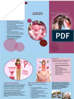 PDF Triptico de Menopausia - Compress