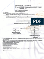 Morfopatologia cariei dentare