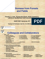 Woody Biomass From Forests and Fields