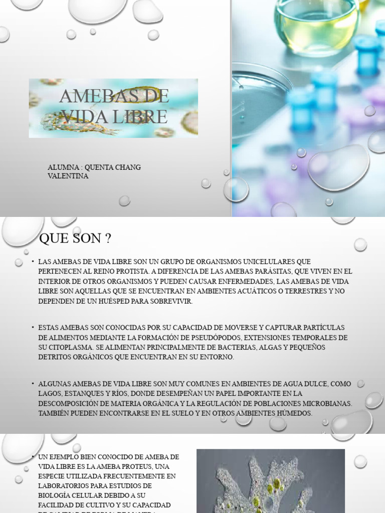 Amebas De Vida Libre Pdf Entorno Natural Microorganismo