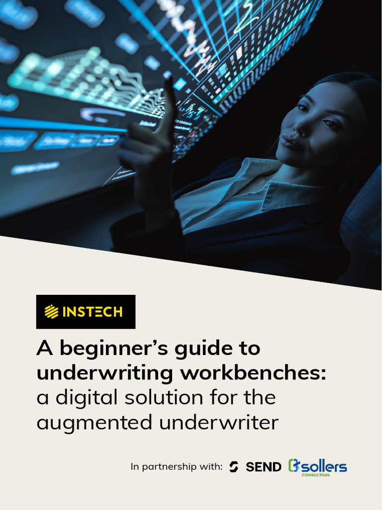 INSTECH PARTNERSHIP REPORT Beginnners Guide To UW Workbenches | PDF ...