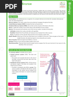 Summary Notes - Nervous System and Disease 2024