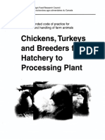 Chicken Turkeys Breeders Code of Practice