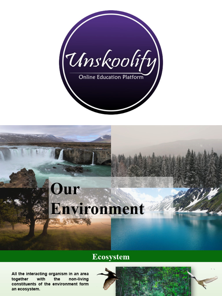 Our Ecosytem (Autosaved) | PDF | Ecosystem | Food Web