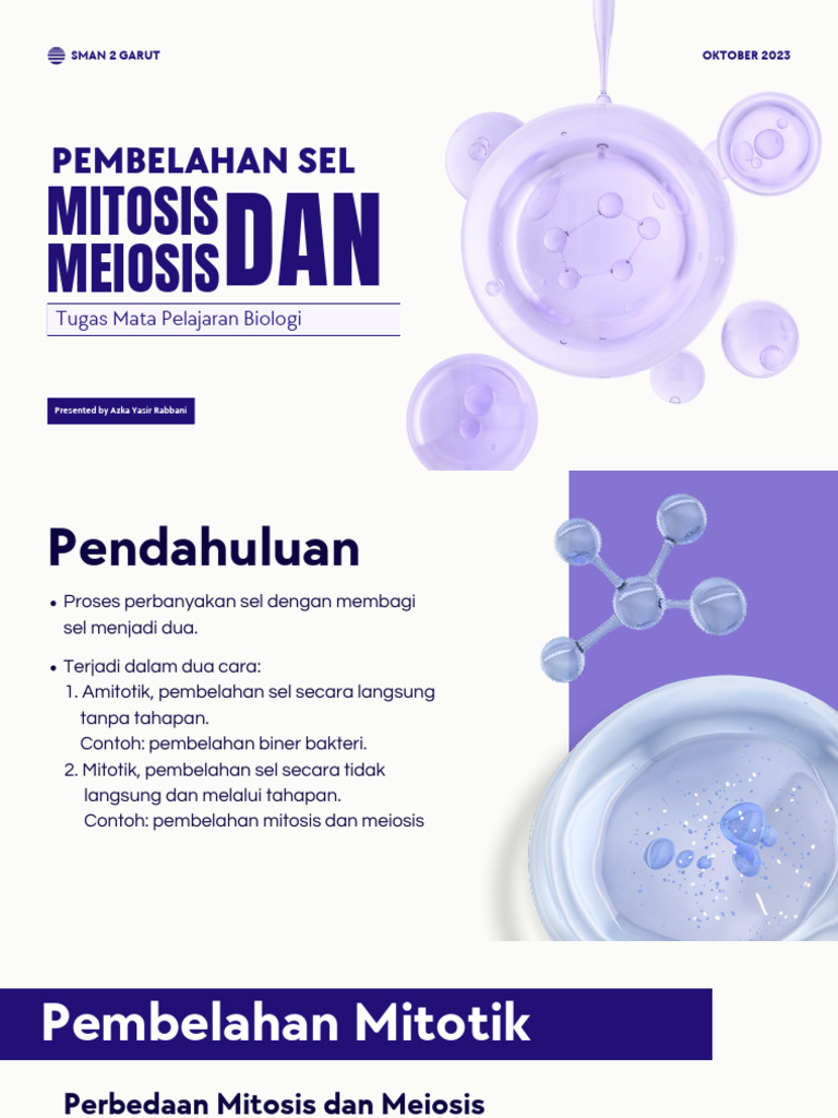 Perbedaan Mitosis dan Meiosis dalam Biologi | PDF