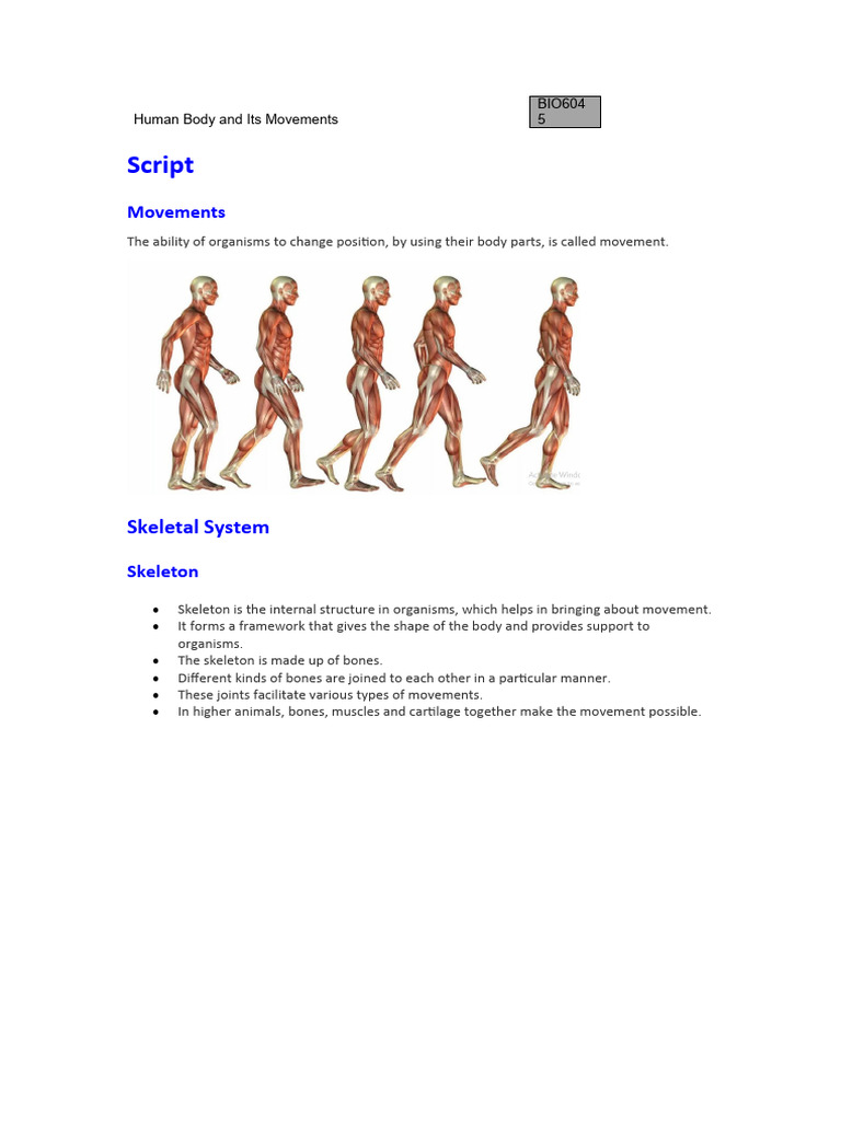 Human Body Movement Mechanics Explained | PDF