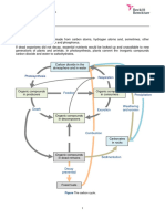 Carbon Cycle