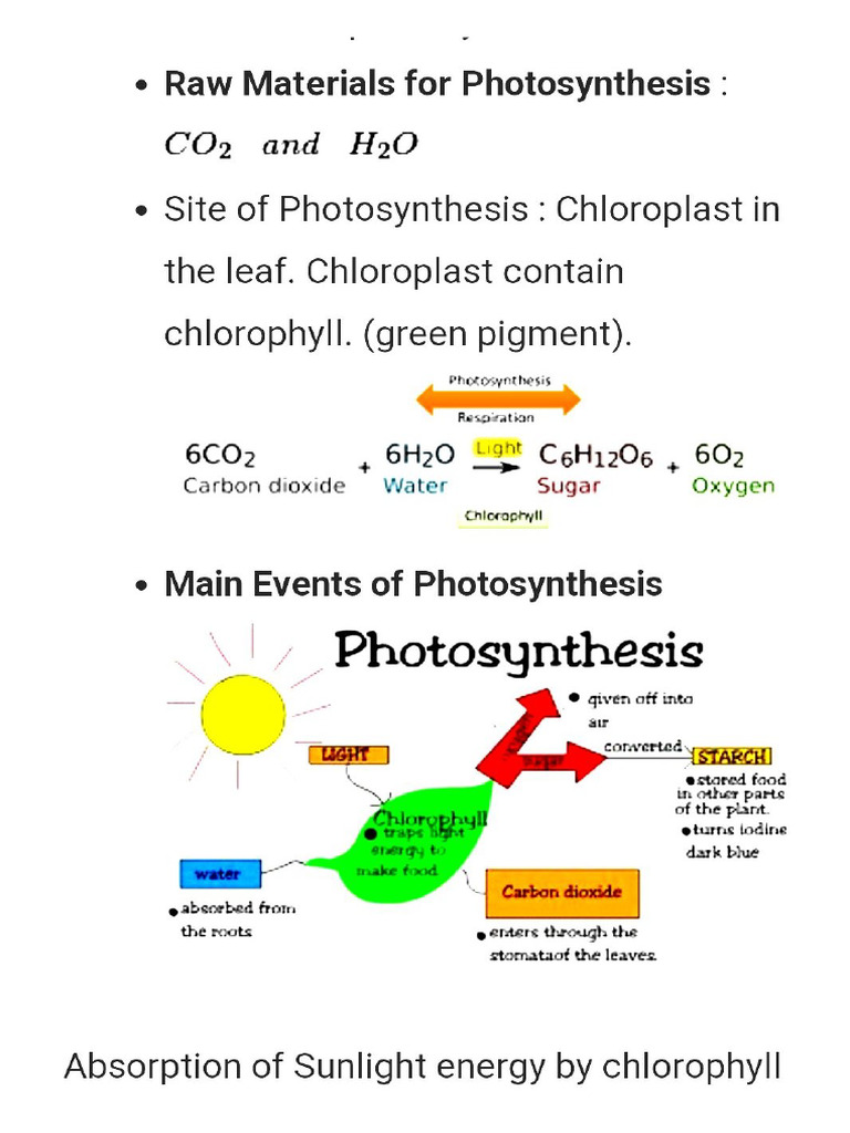 Autotroph visual data 3