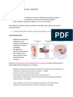 Patologies Final Gener