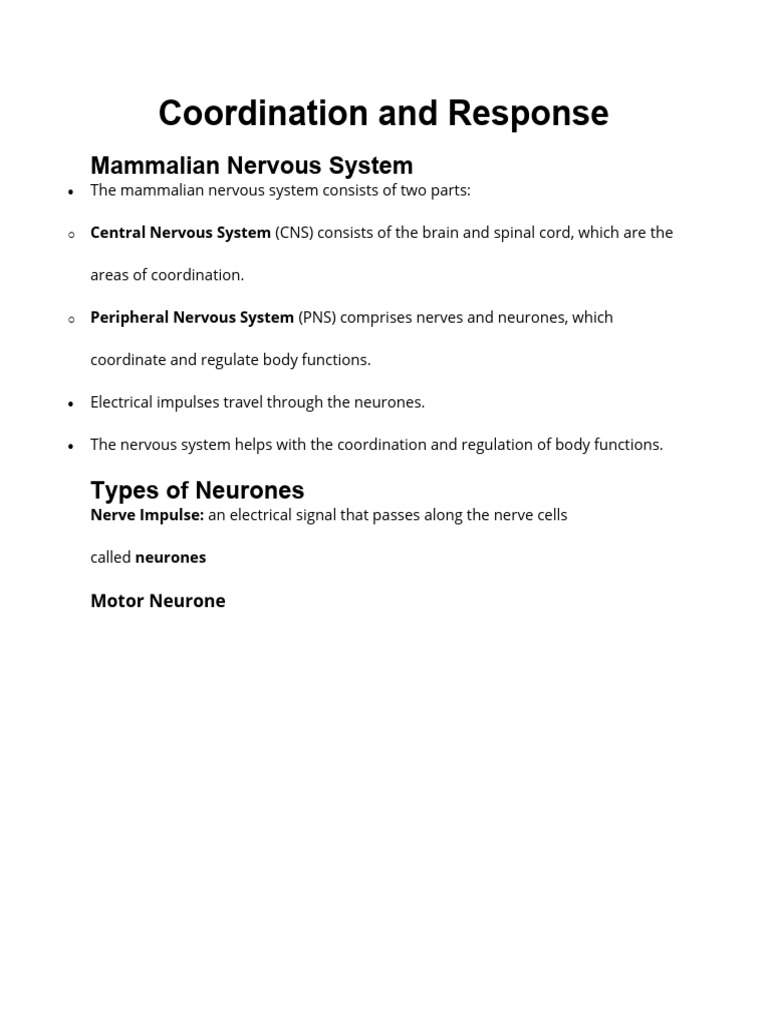 Coordination and Response | PDF | Neuron | Nervous System