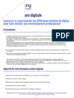 Formation Culture Digitale