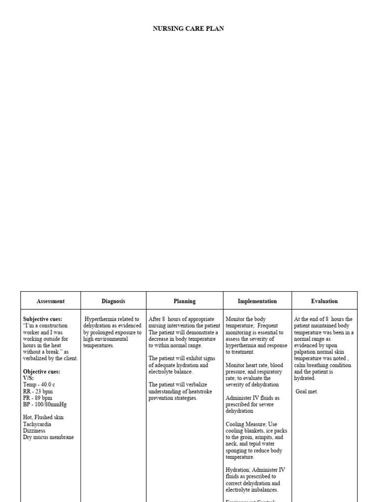 Care Plan Evaluation Format