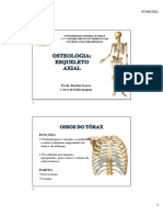 04 - Esqueleto Axial - TRONCO