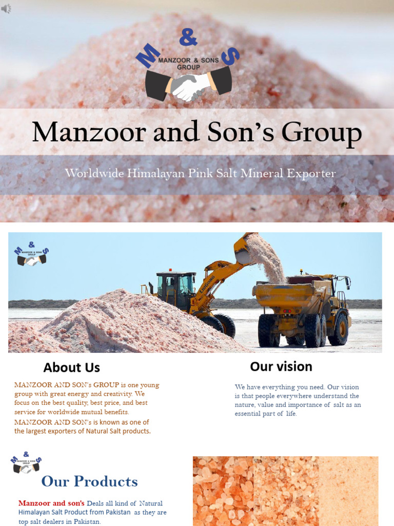 Manzoor and Son's Group Profile | PDF | Salt | Foods