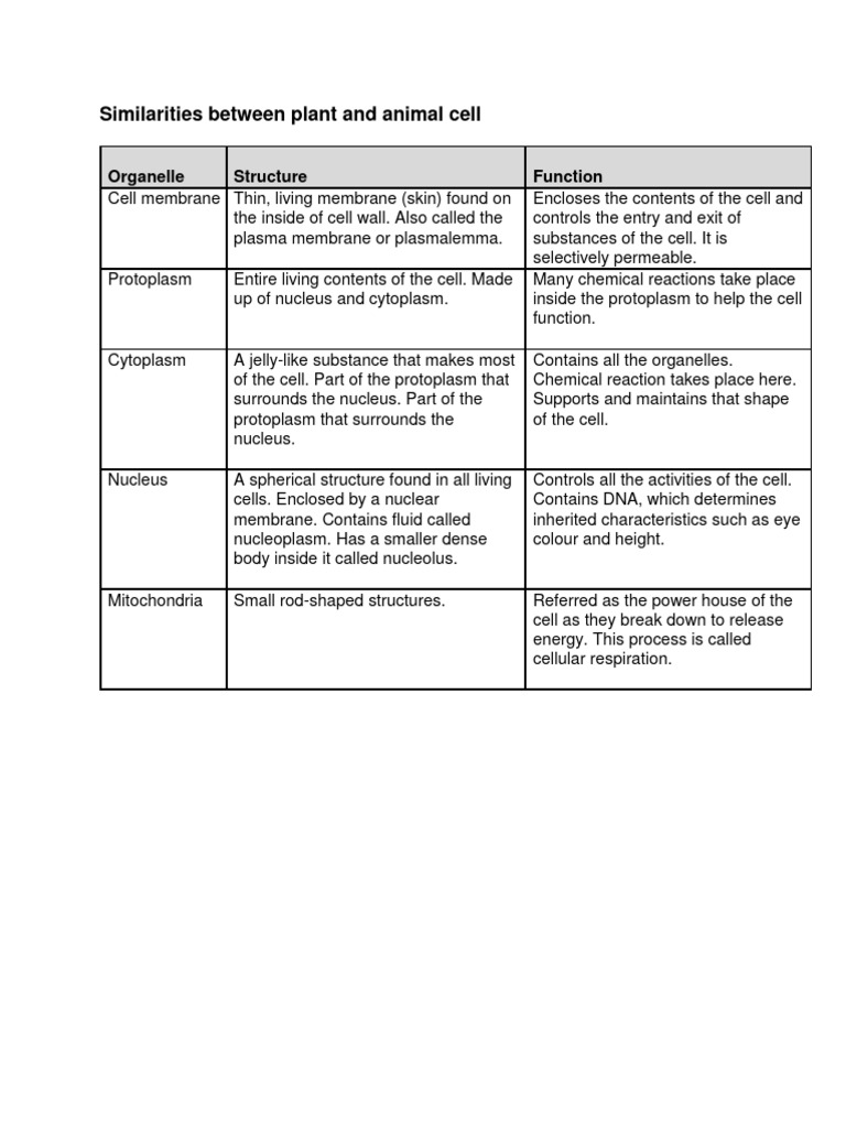 Similarities Between Plant and Animal Cell | PDF
