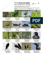 901 Ecuador Aves de Bosques Secos y Deciduos
