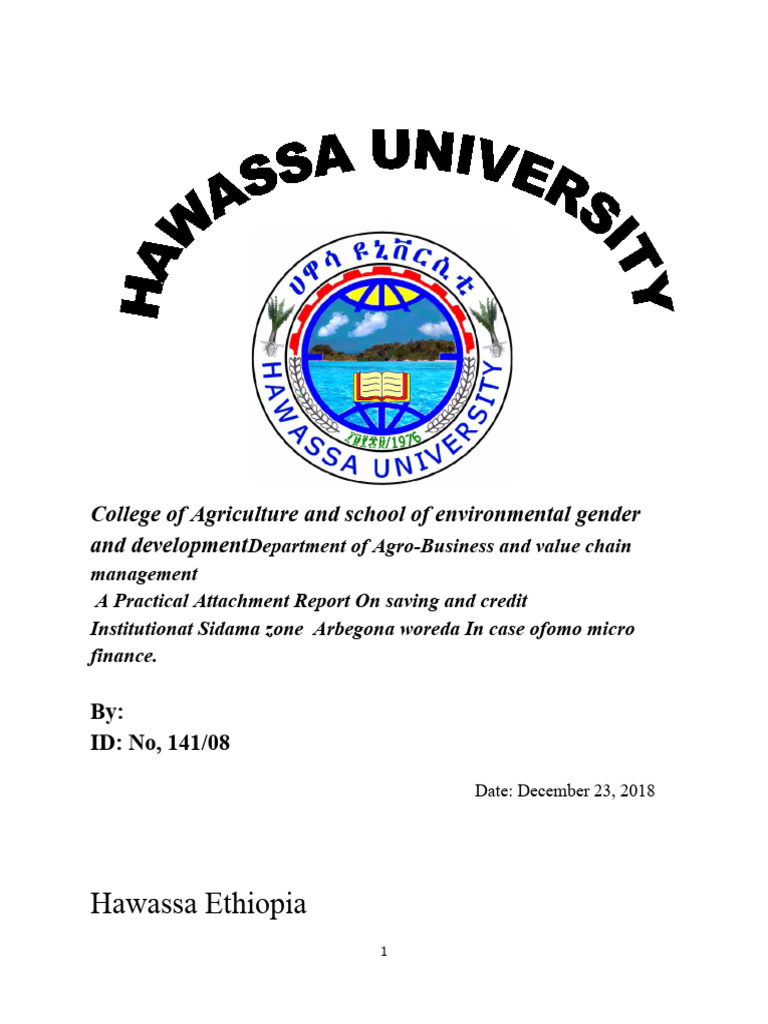 Practical Attachment Report on Omo Microfinance | PDF | Microfinance ...