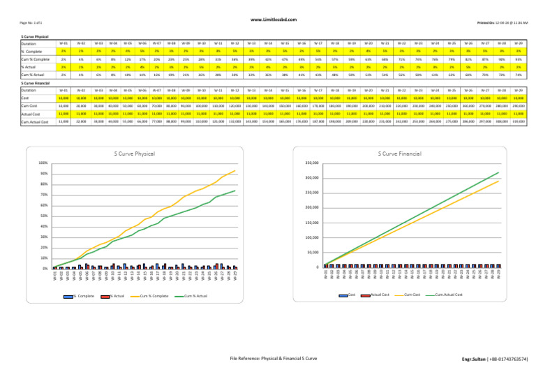 S Curve Analysis: Physical & Financial | PDF