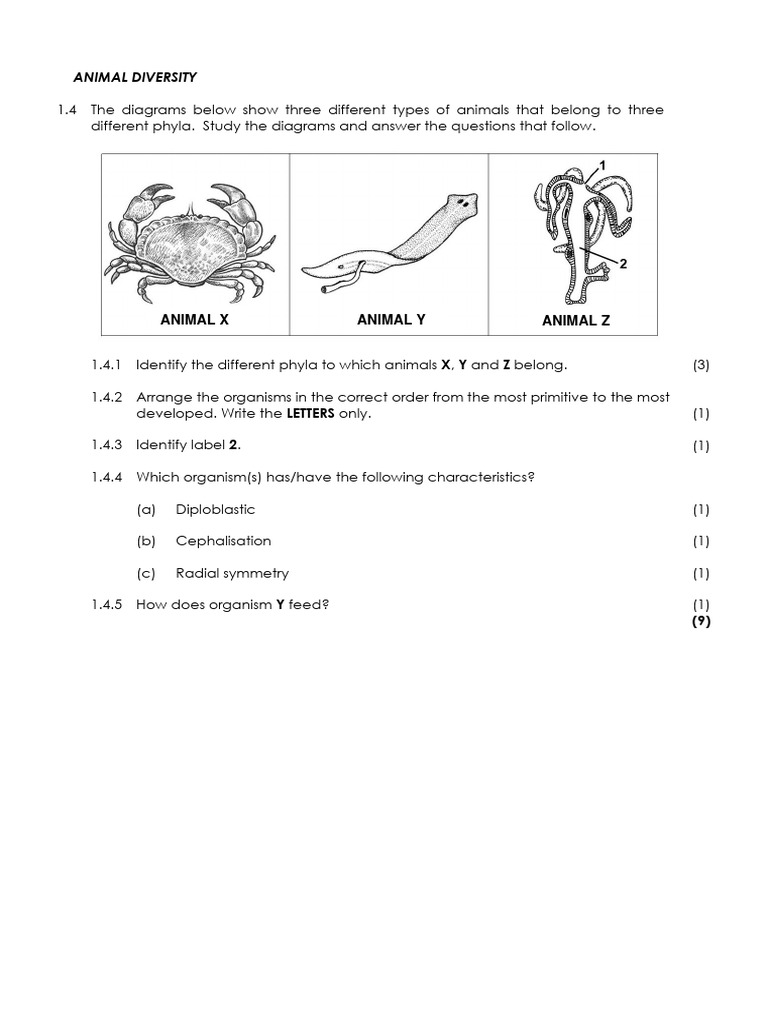 Grade 11 Term 1 Questions Eng | PDF | Malaria | Flowers