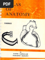 Upper Limb Cadaver Dissection Images | PDF
