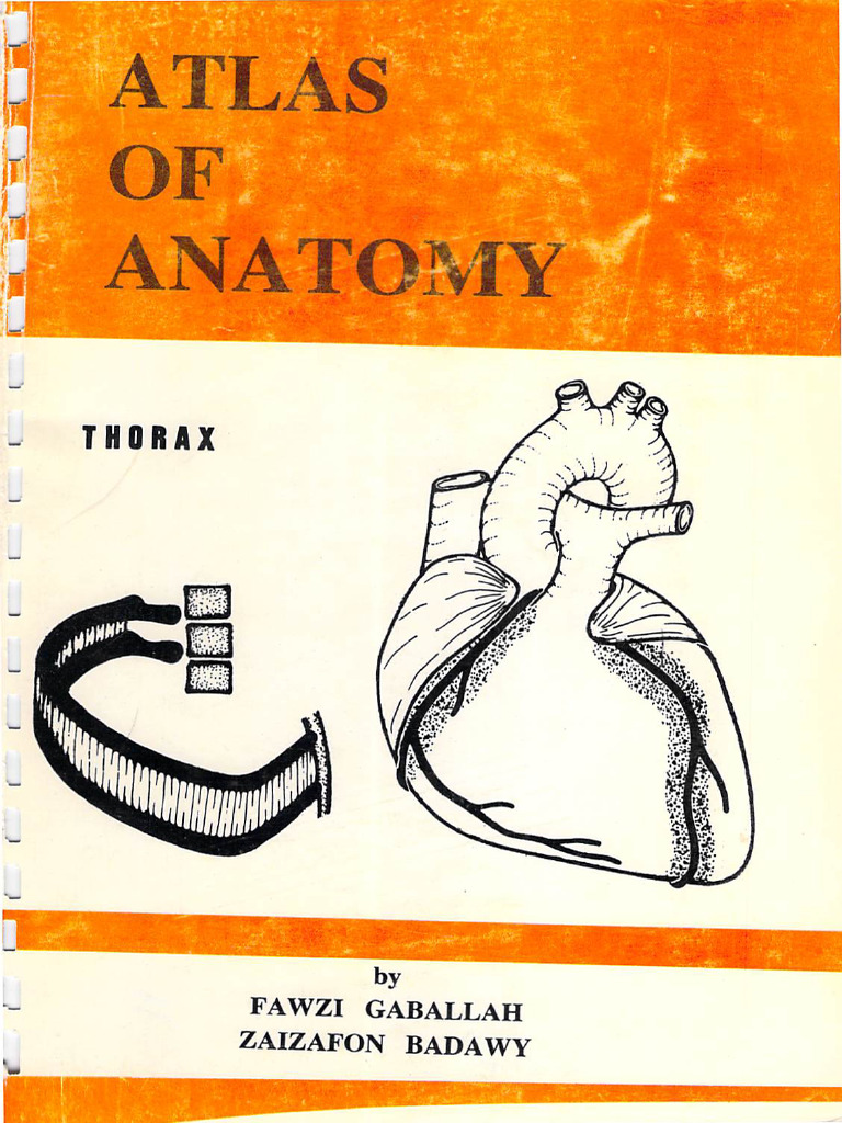 Thoracic Anatomy Atlas by Gaballah | PDF | Aorta | Vertebra
