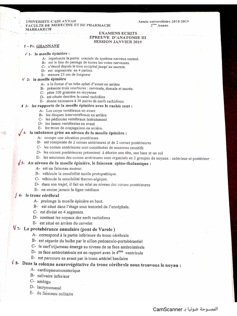 Anatomie 3 FMPM | PDF