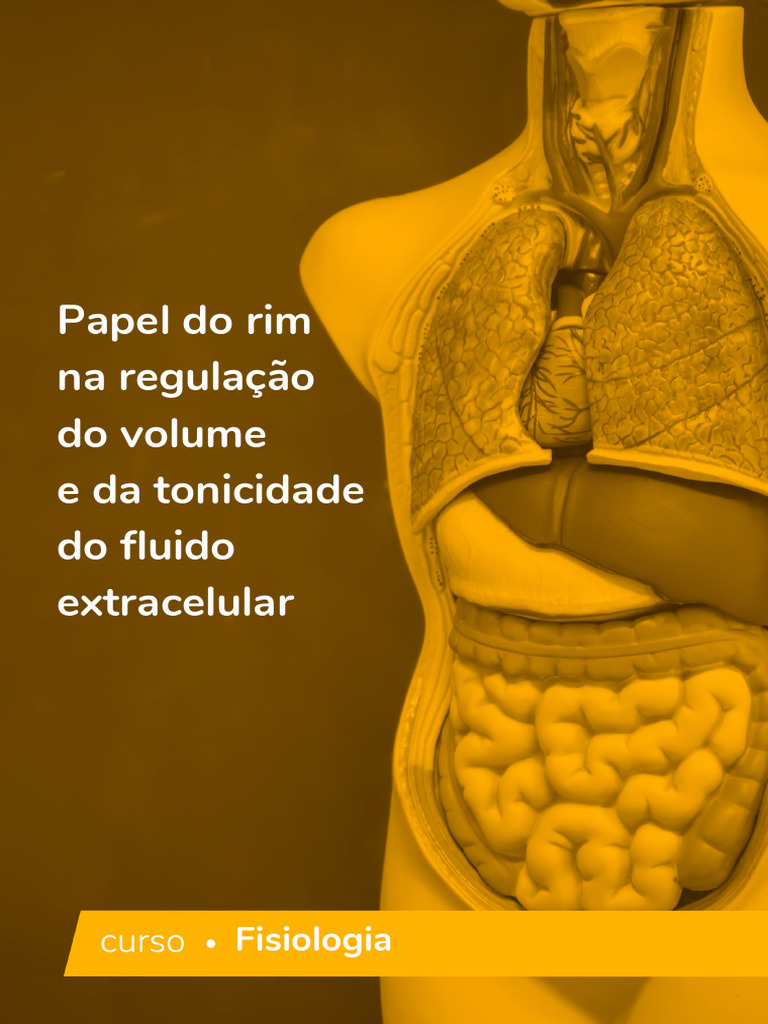 Regulação do Volume e Tonicidade Renal | PDF | Rim
