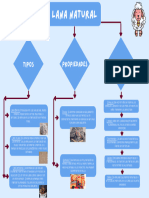 Mapa Conceptual - Lana Natural