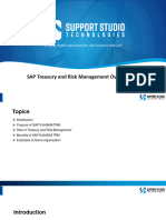 Sap Treasury and Risk Manegement Overview Presentation