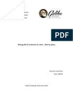 Monografia Carbonato de Calcio - Materia Prima