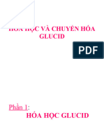 P Glucid