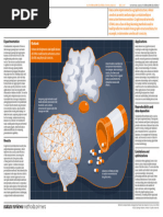 Graph Neural Networks: Primeview