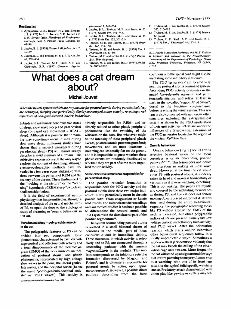 What Does A Cat Dream About | PDF | Rapid Eye Movement Sleep | Dream