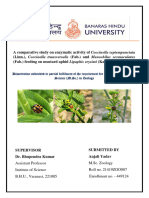BHU Sample Dissertation Report