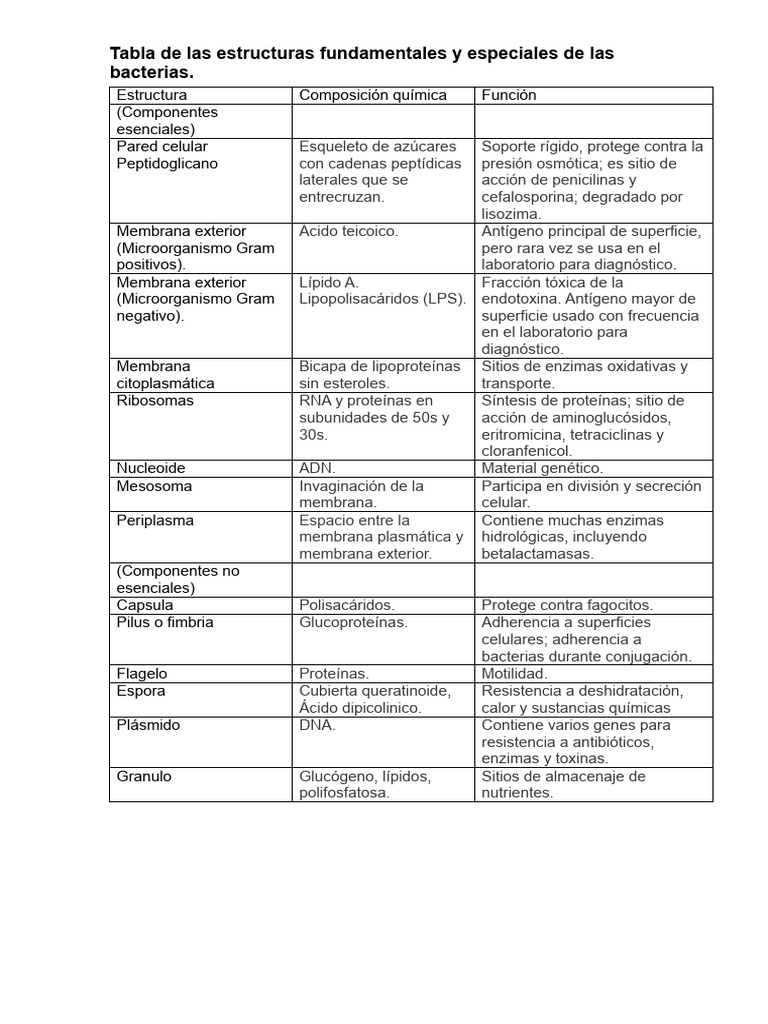 Estructuras y funciones de las bacterias | PDF | Membrana celular | Las ...