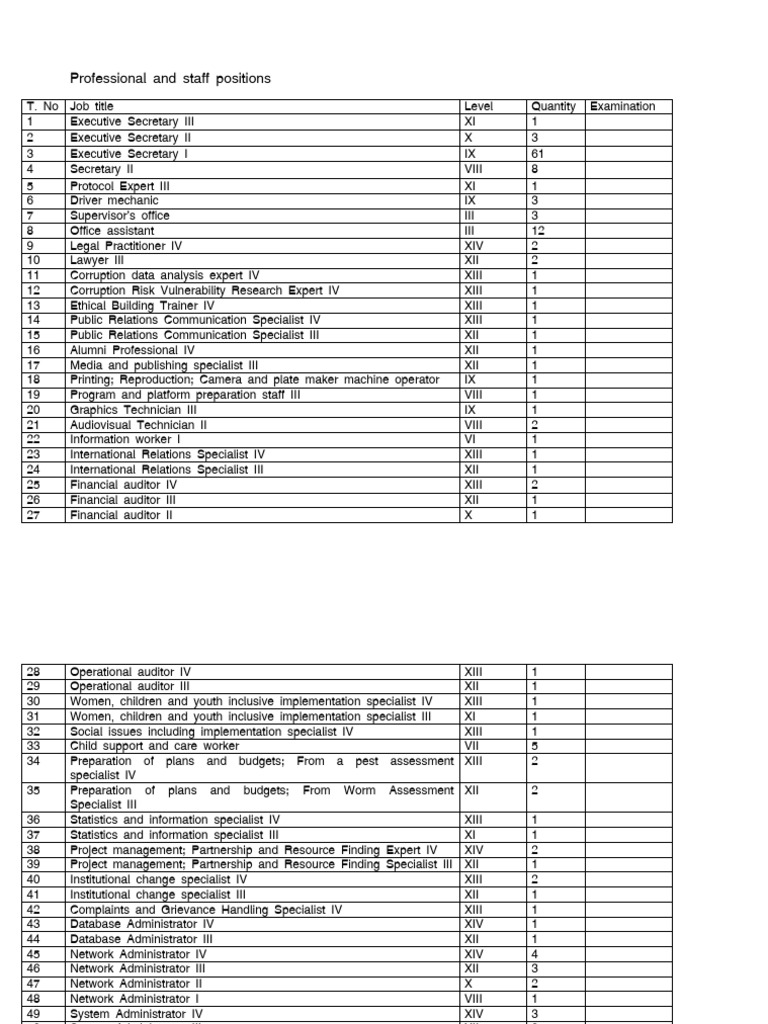 Staff Positions Overview | PDF | Accounting | Public Finance