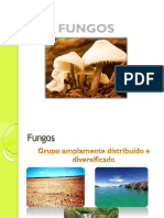 aula03_fungos