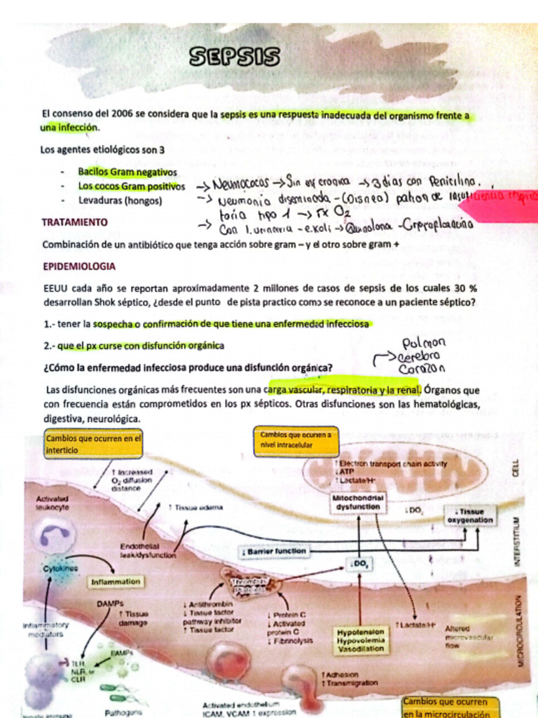 3er Parcial de Infecto | PDF