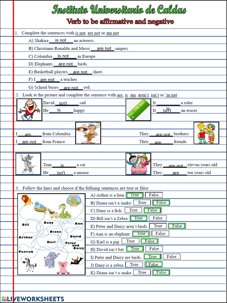 To Be Affirmative and Negative | PDF | Syntax | Language Mechanics
